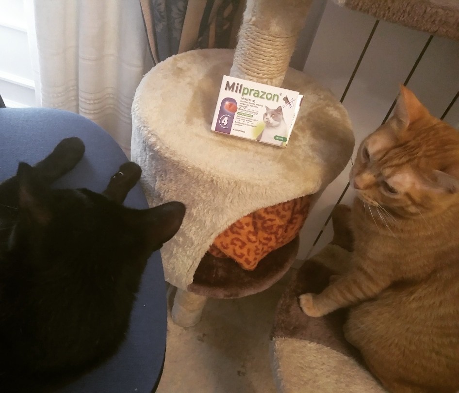 IMG_20191011_124938_625.jpg IMG_20191011_124938_625.jpg