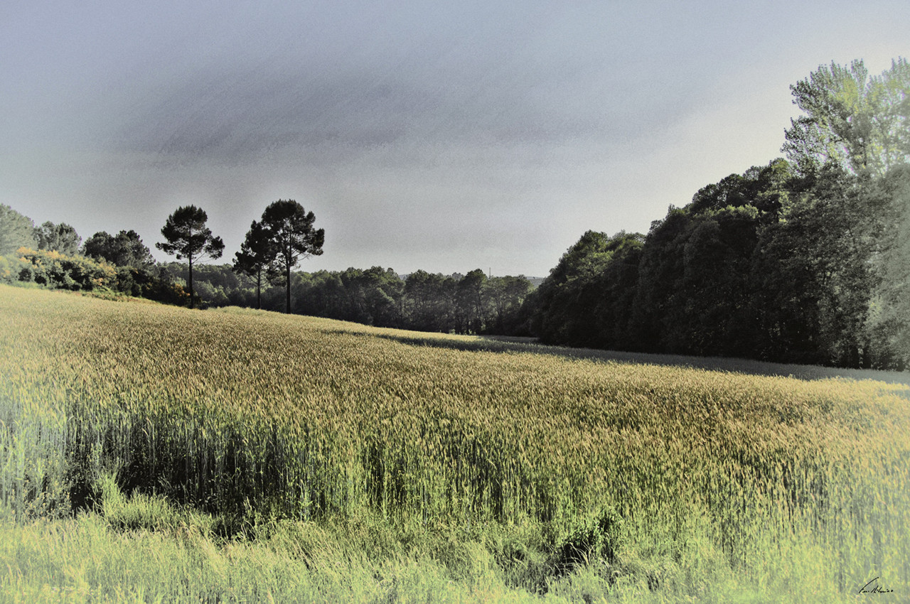 1600-fronteira (24).jpg