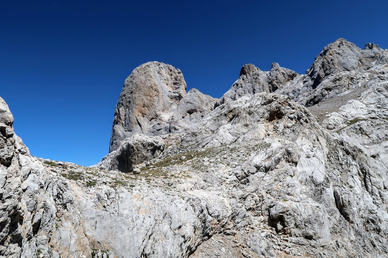 IMG_0497.JPG IMG_0497.JPG