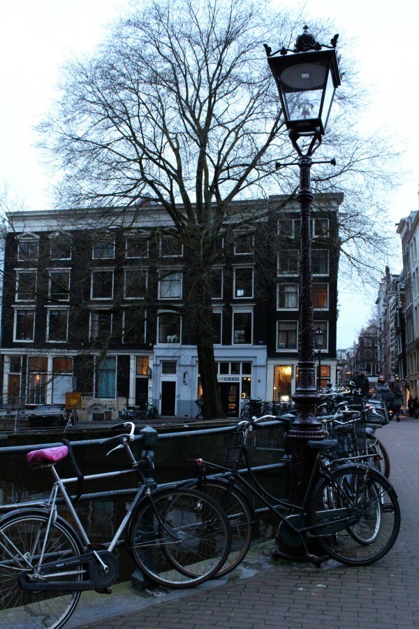 IMG_1013.JPG IMG_1013.JPG