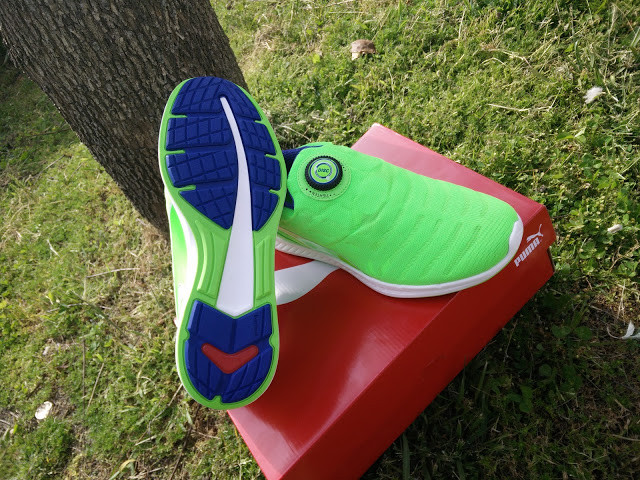 IMG_20160429_170905.jpg IMG_20160429_170905.jpg