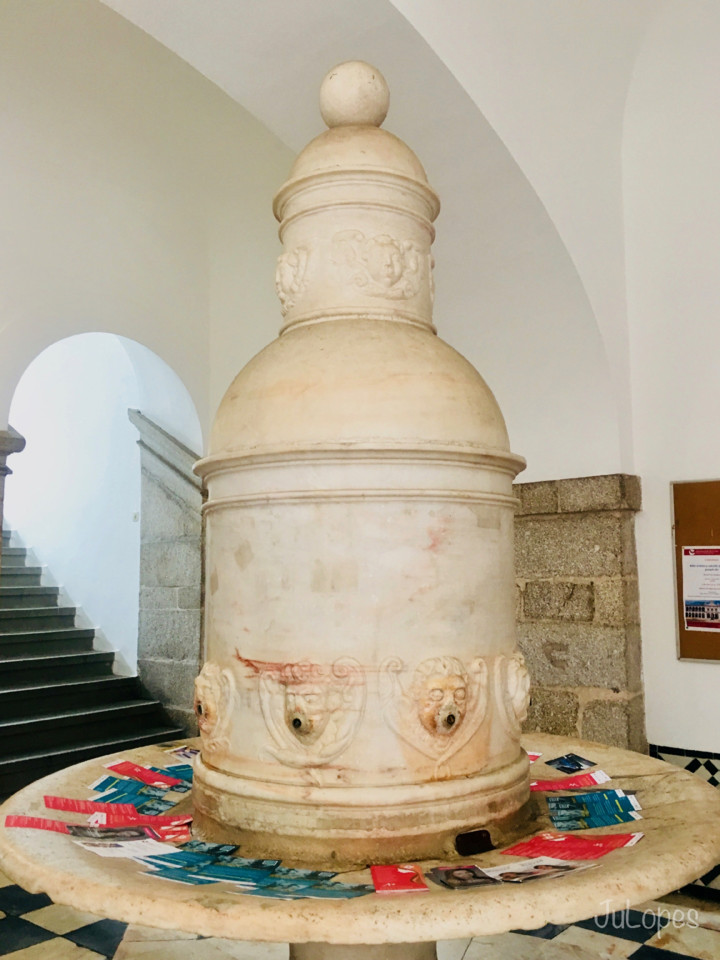 IMG_1895.jpg IMG_1895.jpg