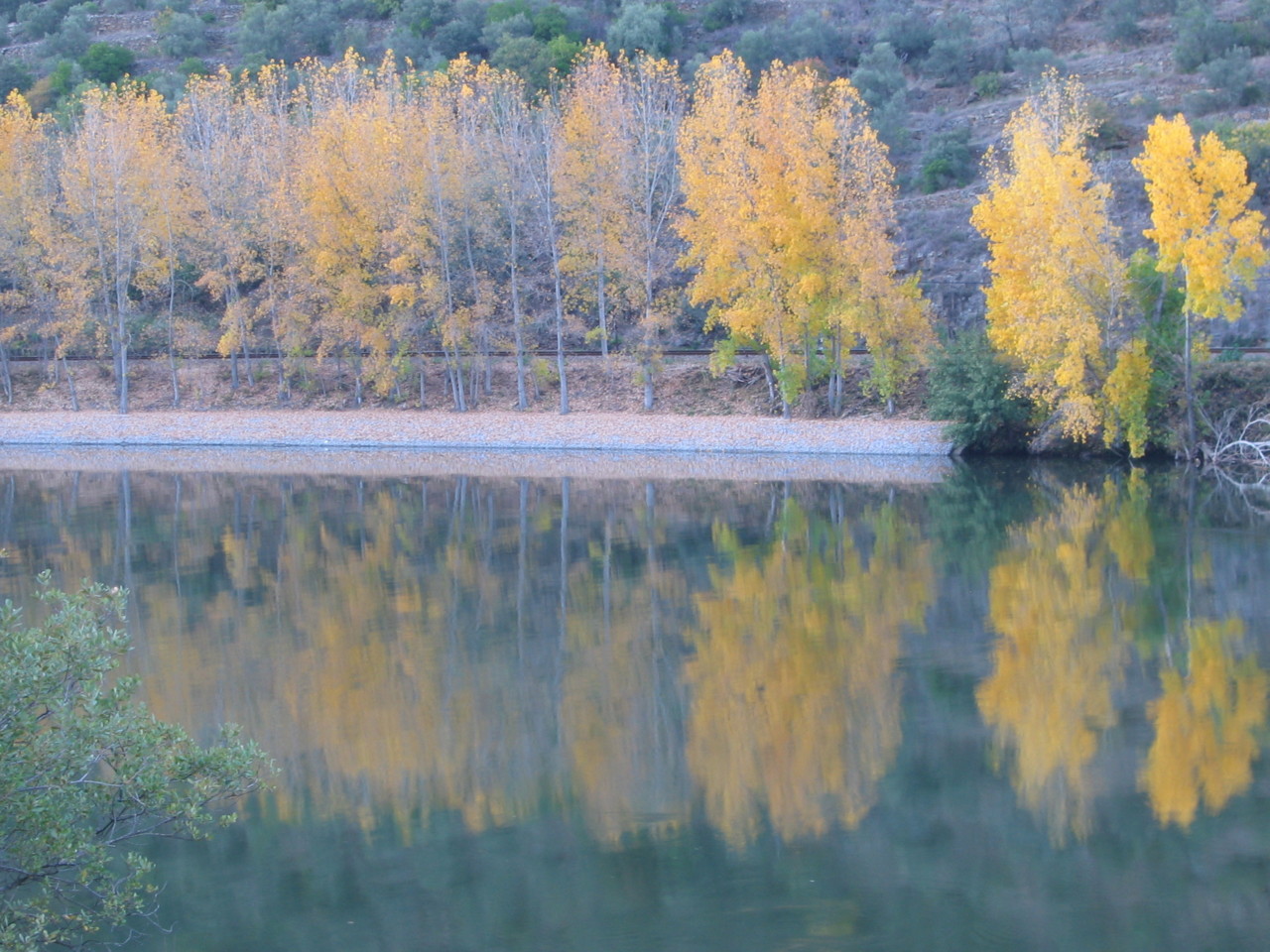 Douro-Estrada do Pinhão para Peso da Régua.jpg