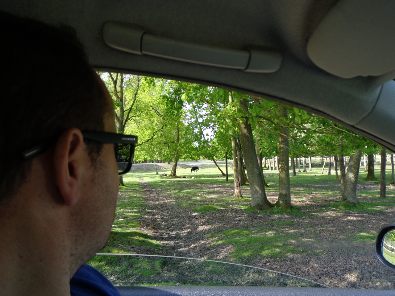 DSC09319.JPG DSC09319.JPG