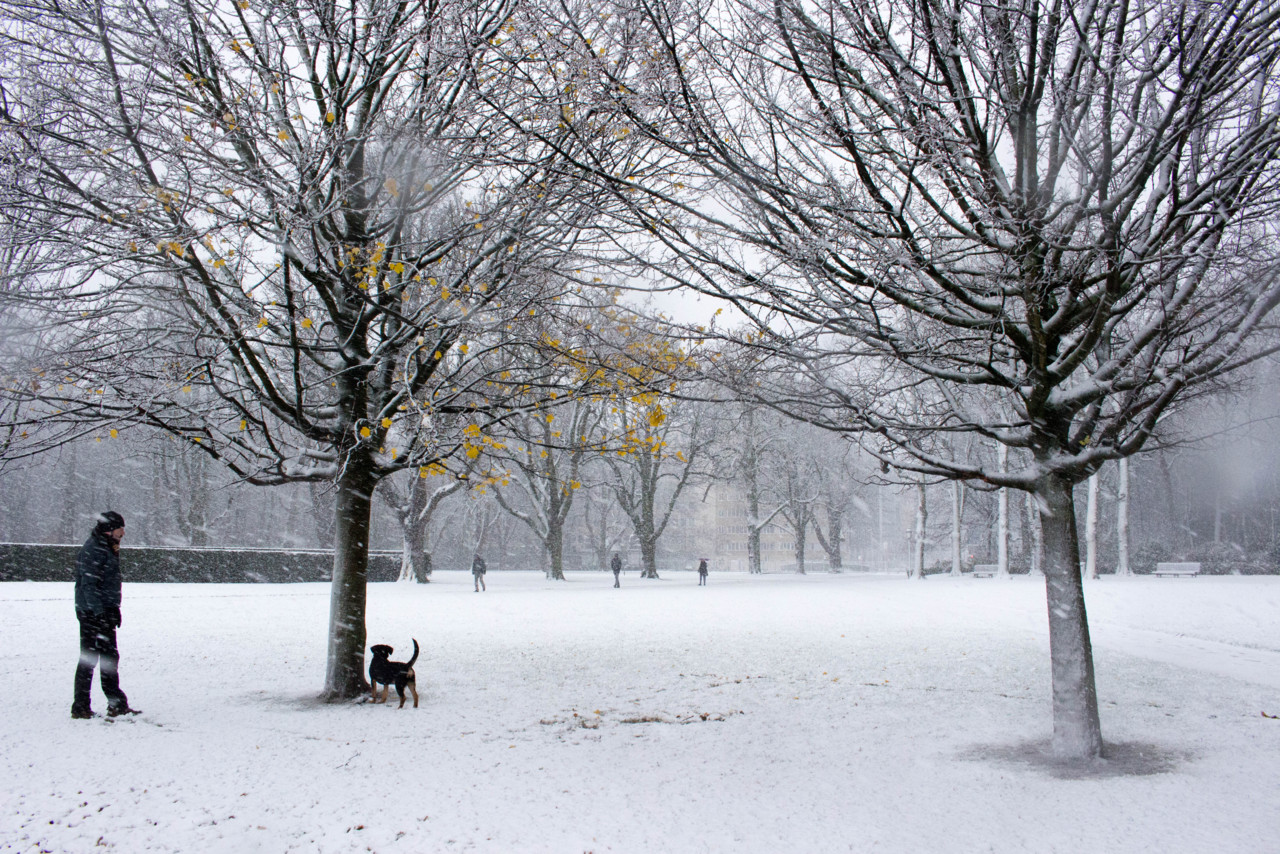 Neve Bruxelas Parc du Cinquantenaire Neve Bruxelas Parc du Cinquantenaire