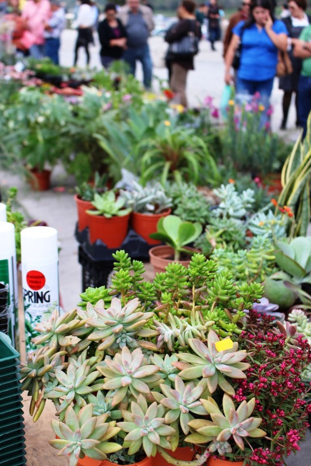 IMG_8059.JPG IMG_8059.JPG