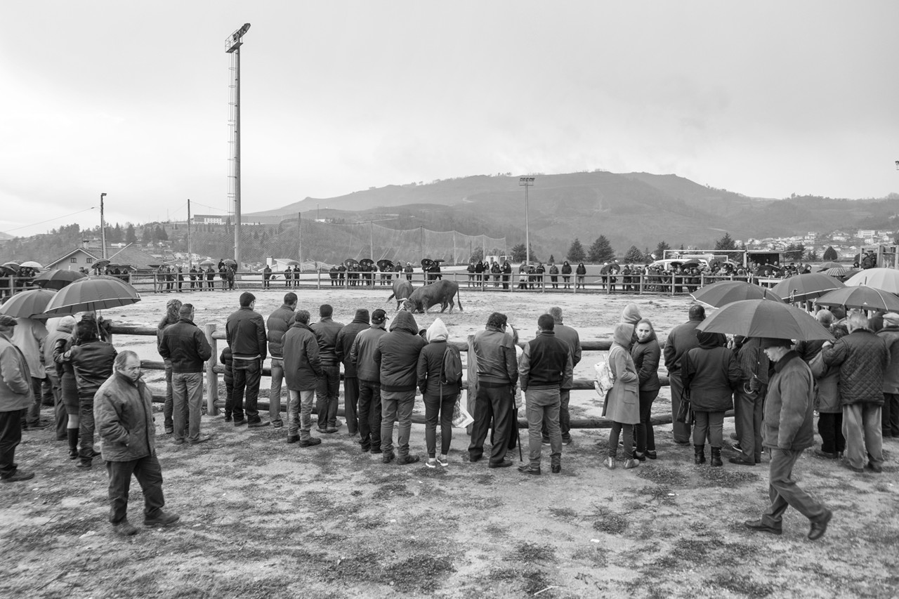 DSCF2038 - cópia copy.jpg