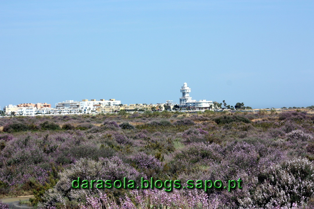 Maresmas_Isla_Canela_08.JPG Maresmas_Isla_Canela_08.JPG