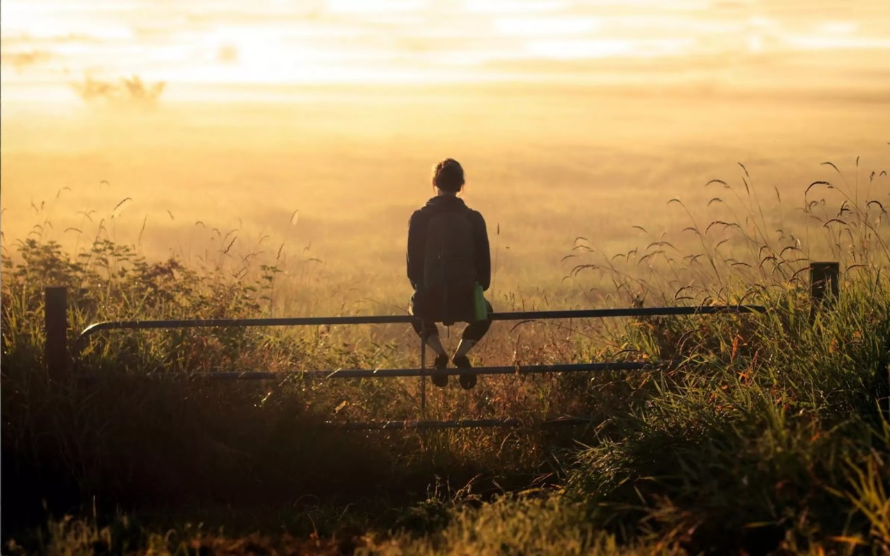 cansado.jpg cansado.jpg