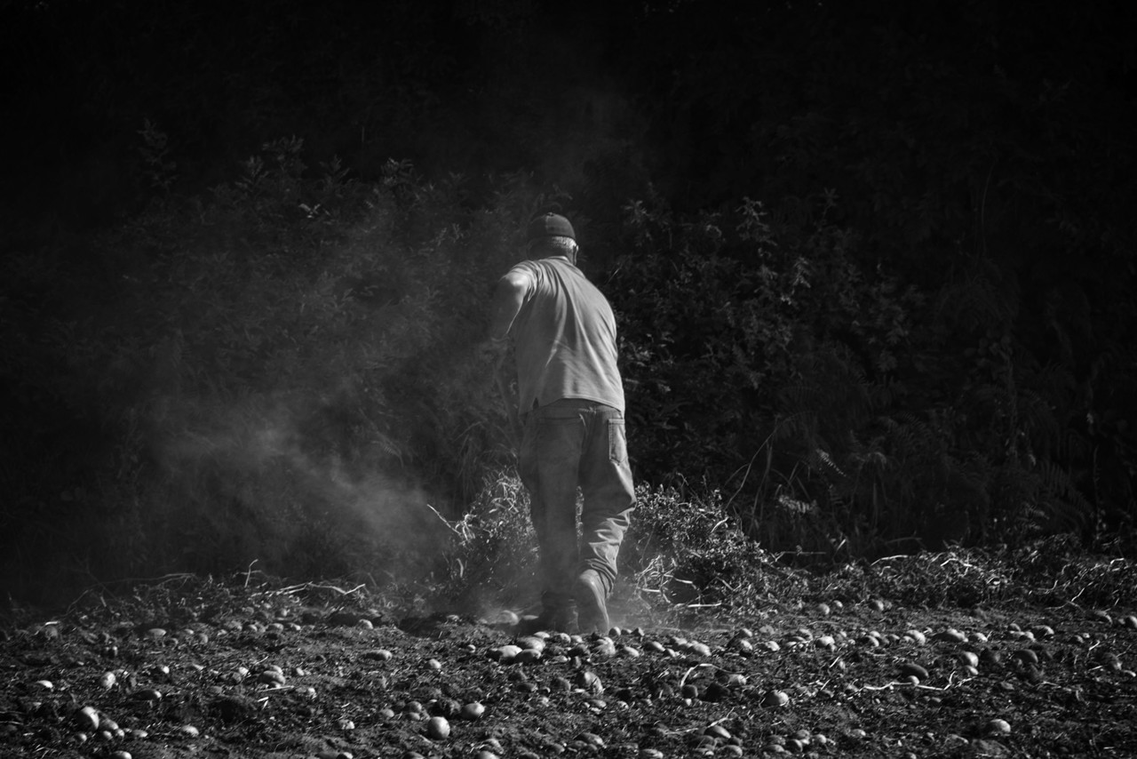 _JMF0506 - cópia copy.jpg