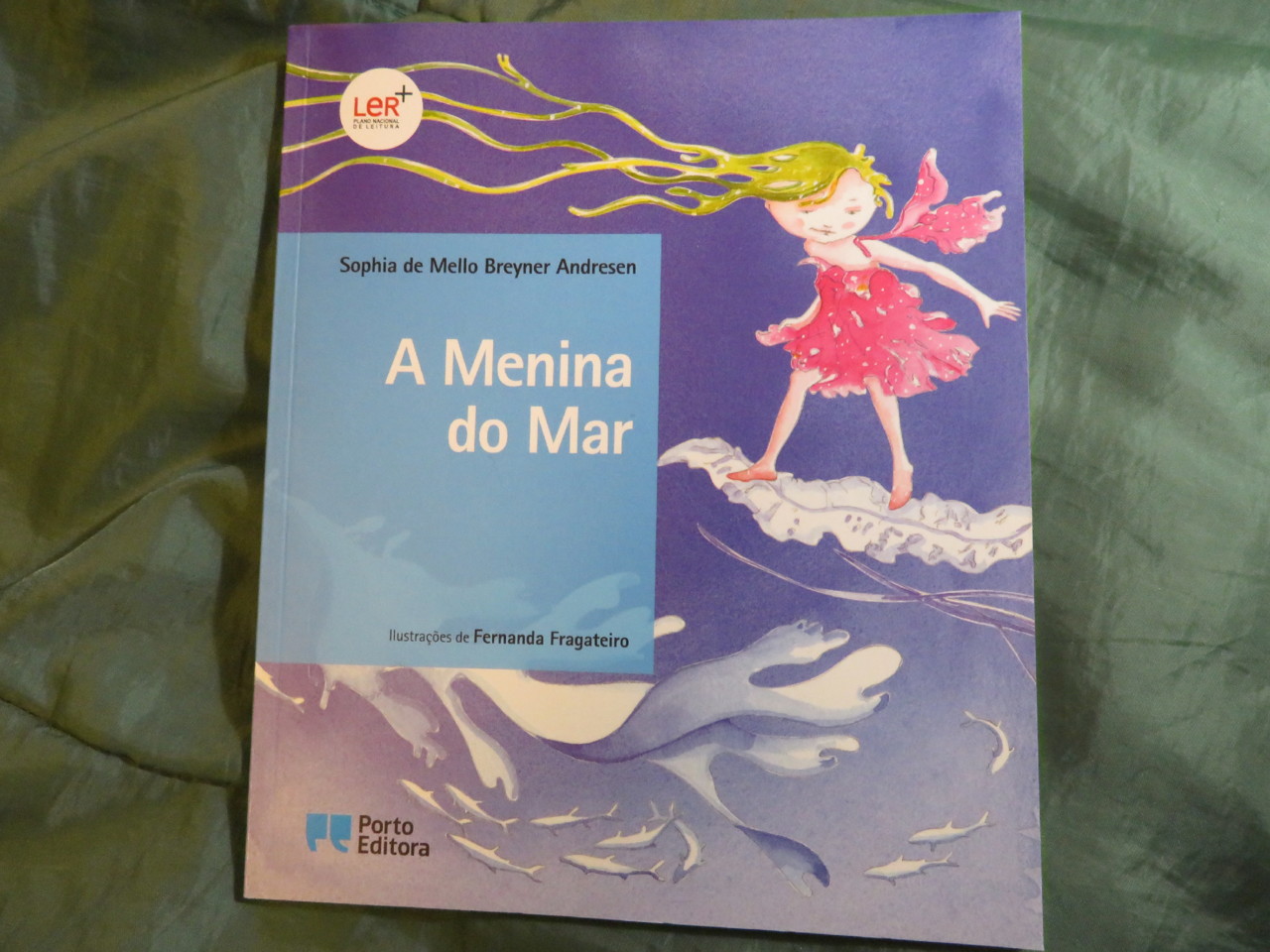 IMG_7102.JPG IMG_7102.JPG