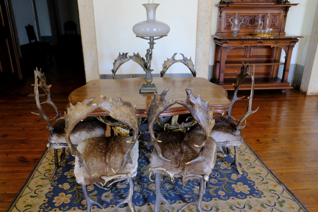 DSCF1168.jpg DSCF1168.jpg