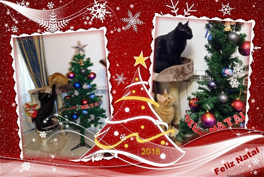 feliznatal2018.jpg