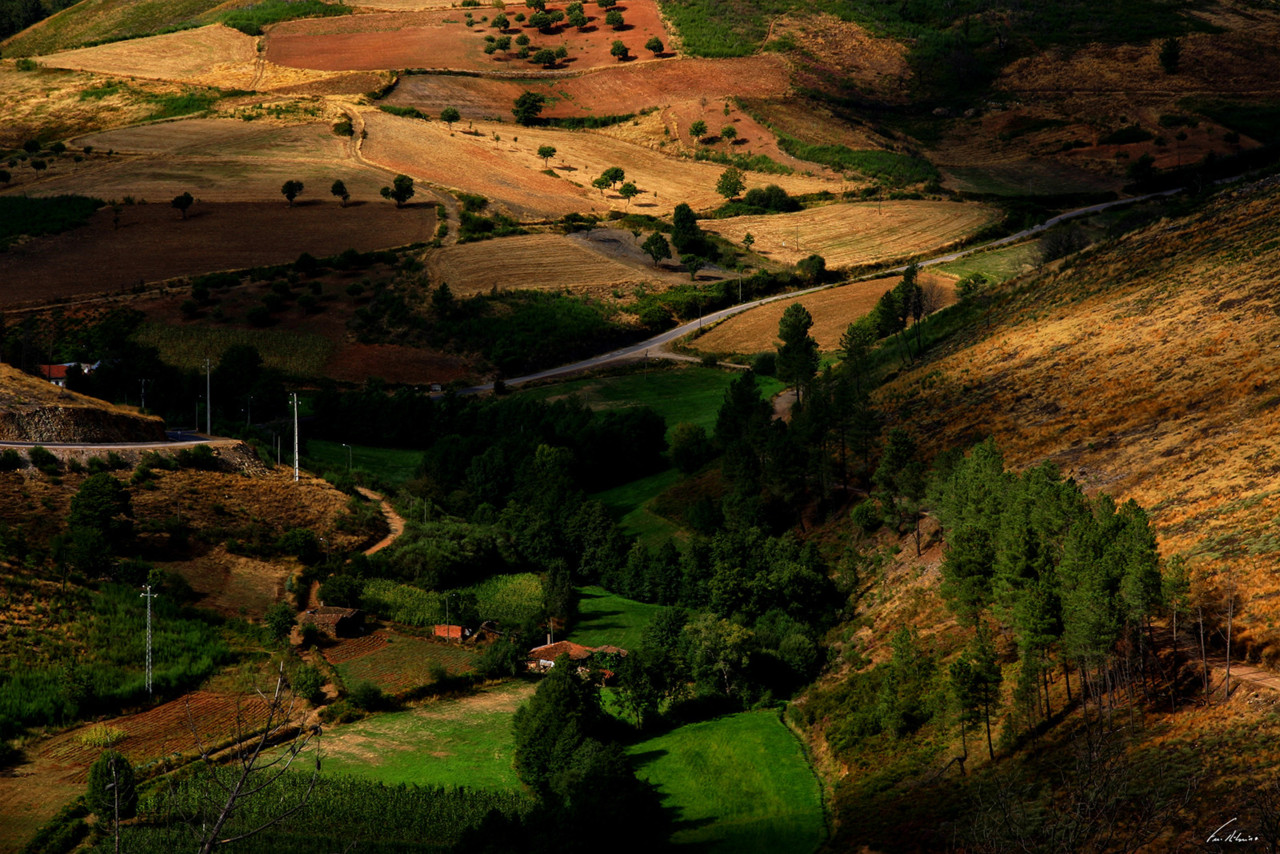 1600-argemil (40)-1.jpg