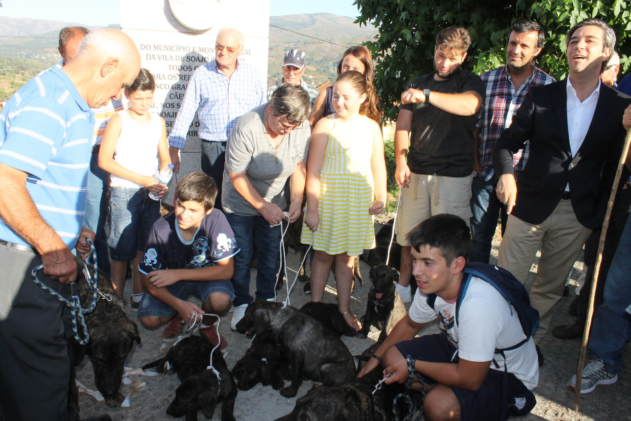 IMG_0696.JPG IMG_0696.JPG