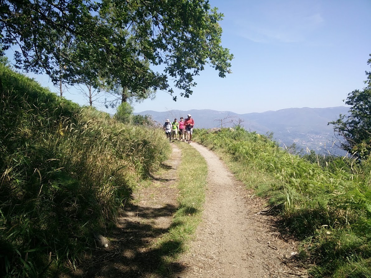 IMG_20170615_105400.jpg IMG_20170615_105400.jpg