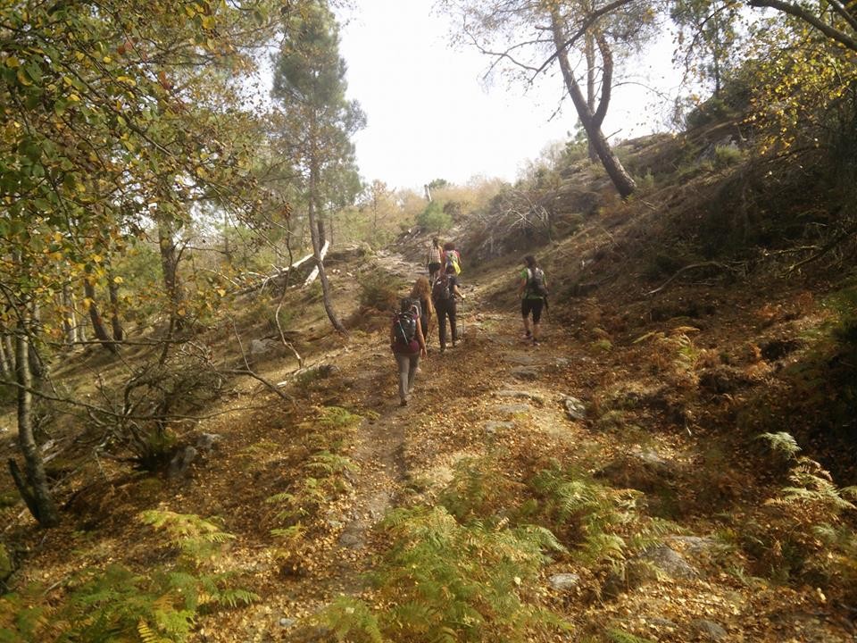 22449653_1940021382691045_9096650292990385855_n.jp 22449653_1940021382691045_9096650292990385855_n.jp