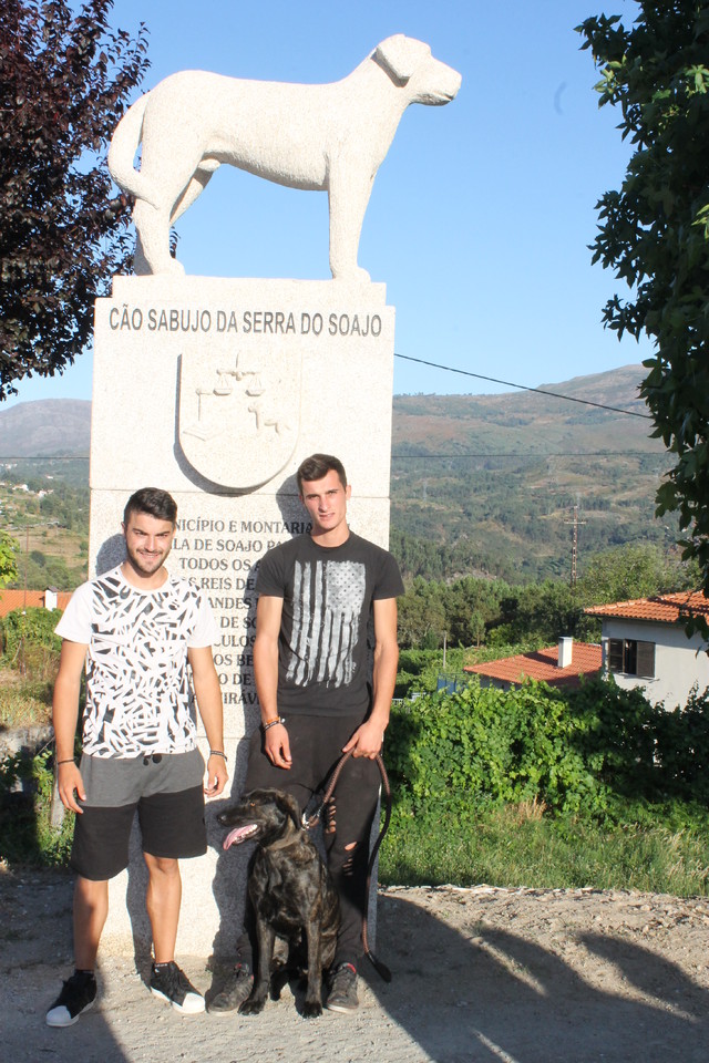 IMG_0742.JPG IMG_0742.JPG