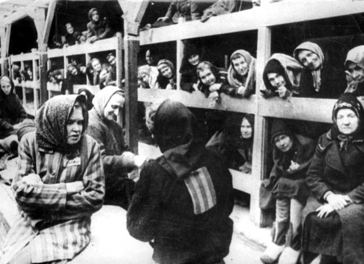 723751.jpg 723751.jpg