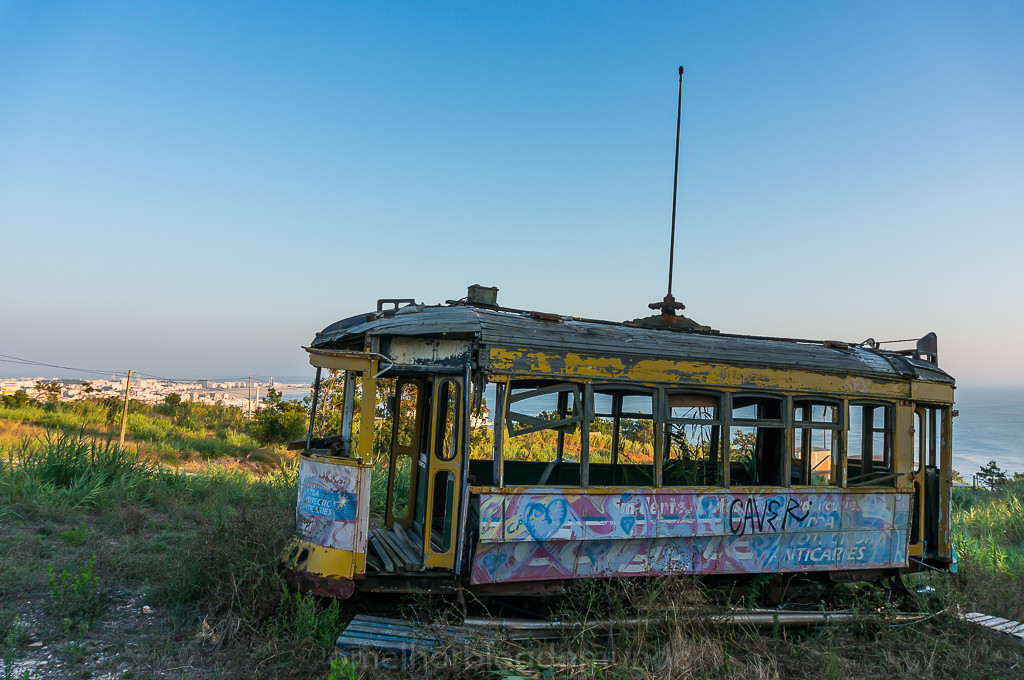 DSC04941.jpg DSC04941.jpg