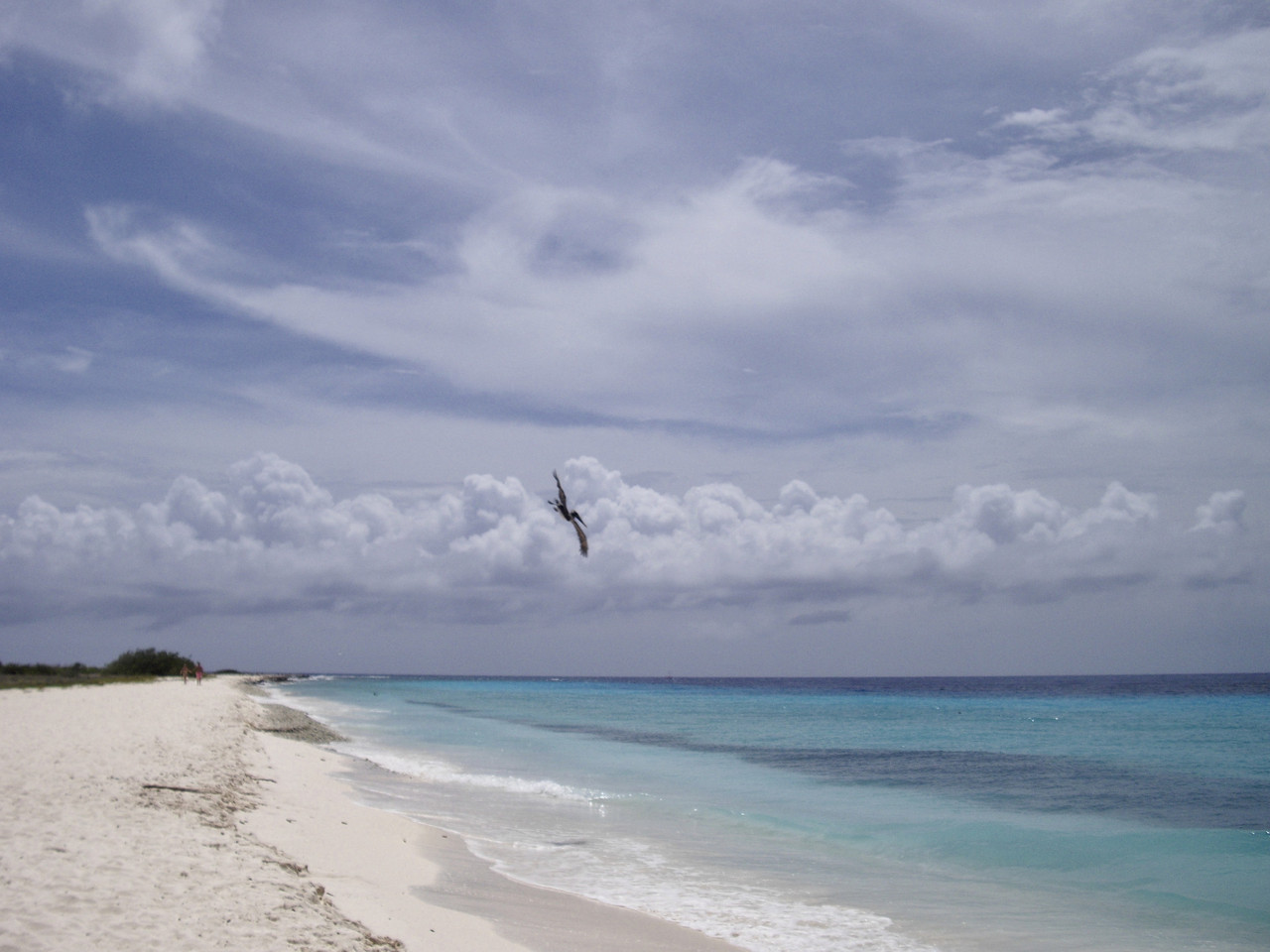 fullsizeoutput_1540.jpeg fullsizeoutput_1540.jpeg