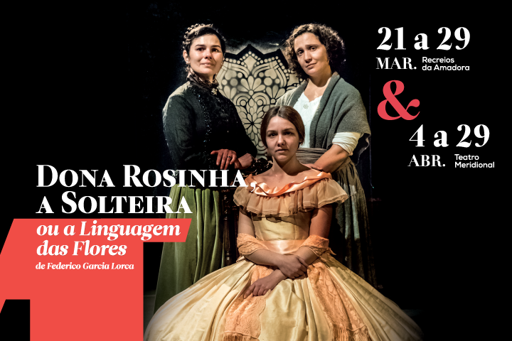 TeatroMeridional_BannerSite_720x480_Rosinha01.png