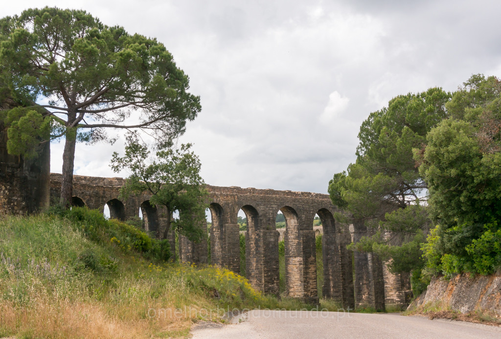 _DSC7281.jpg _DSC7281.jpg