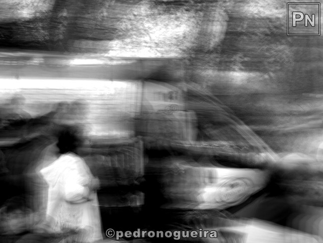 Ago_2022_013 650px.jpg