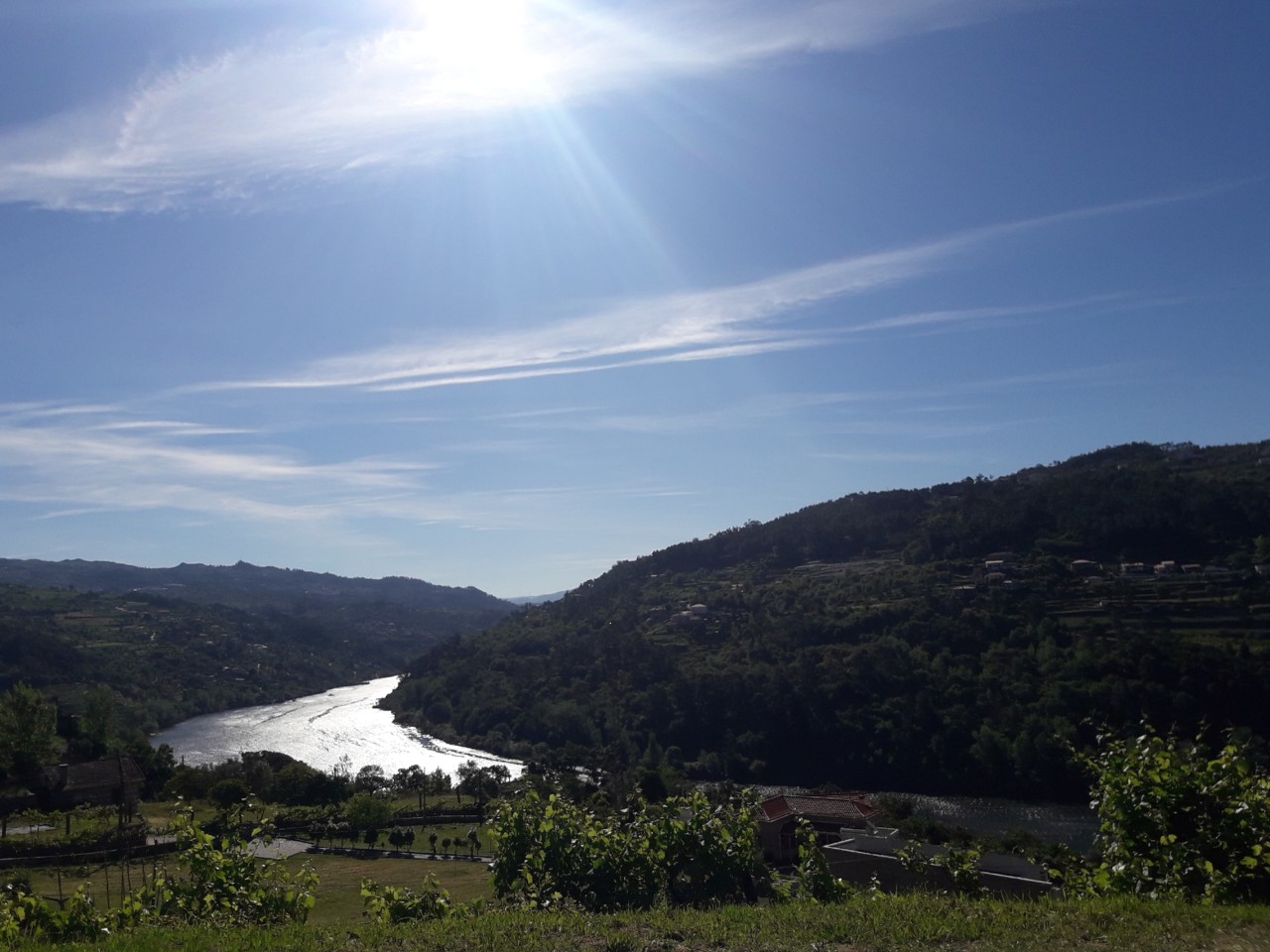 IMG_20190528_102256_957.jpg IMG_20190528_102256_957.jpg