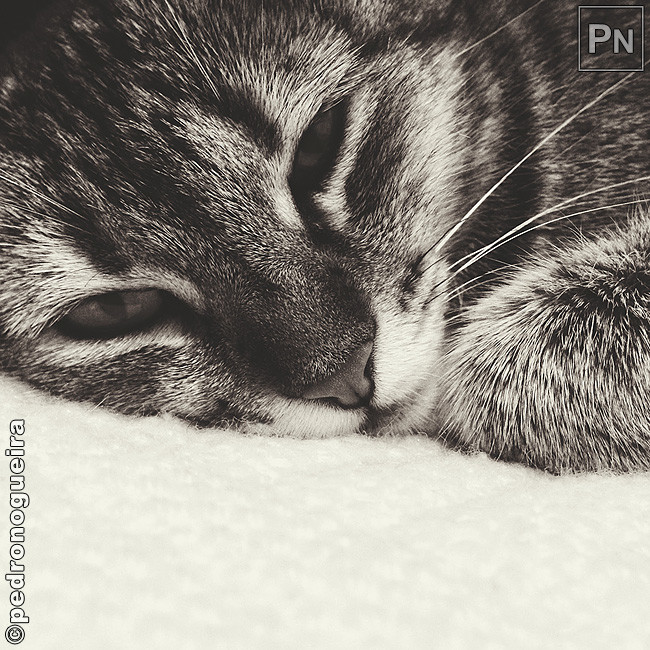 Out_2017_067b 650px.jpg