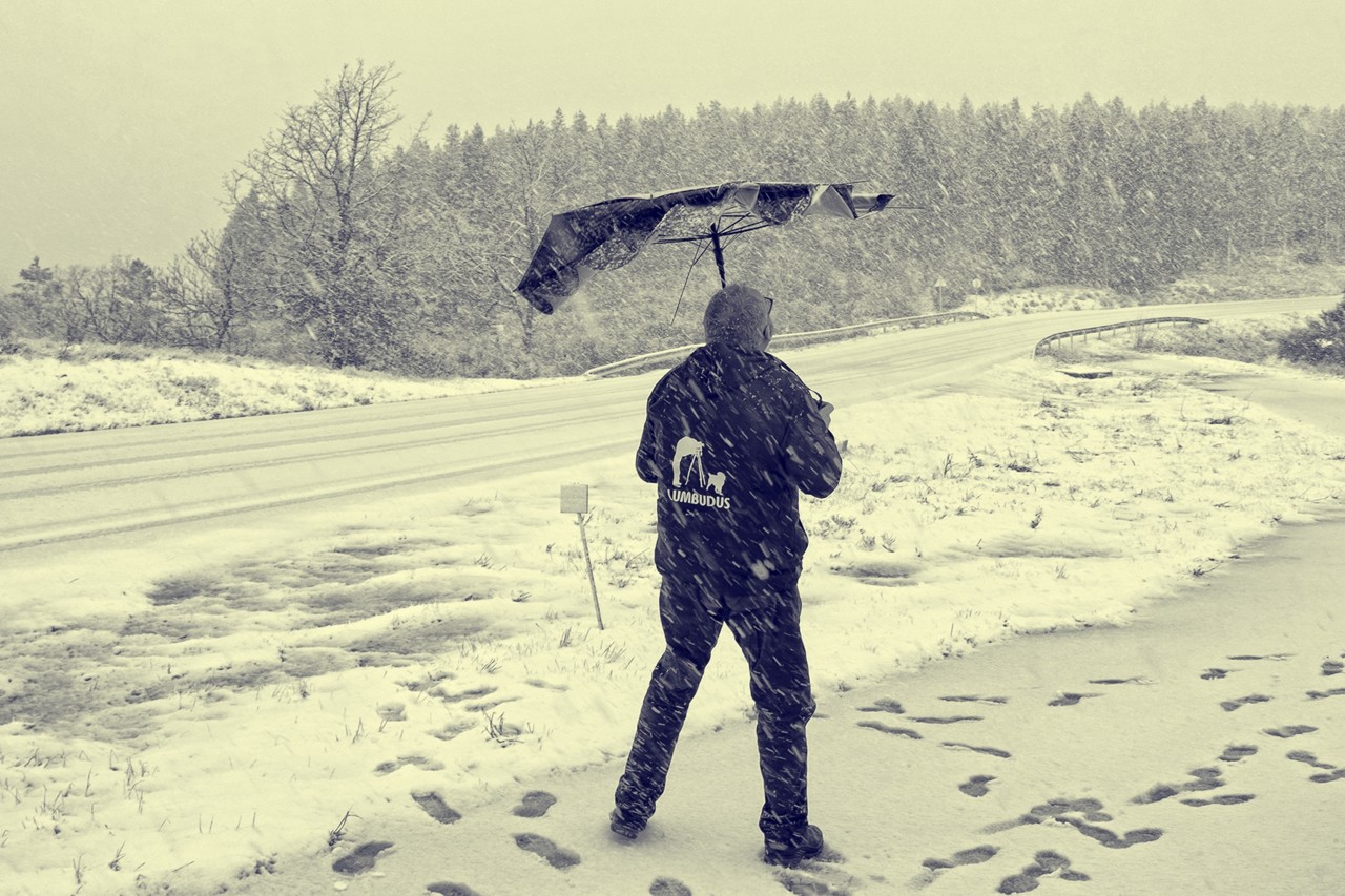 DSCF3301 - cópia copy - cópia.jpg