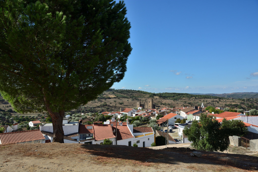 DSC_6118_01.jpg DSC_6118_01.jpg