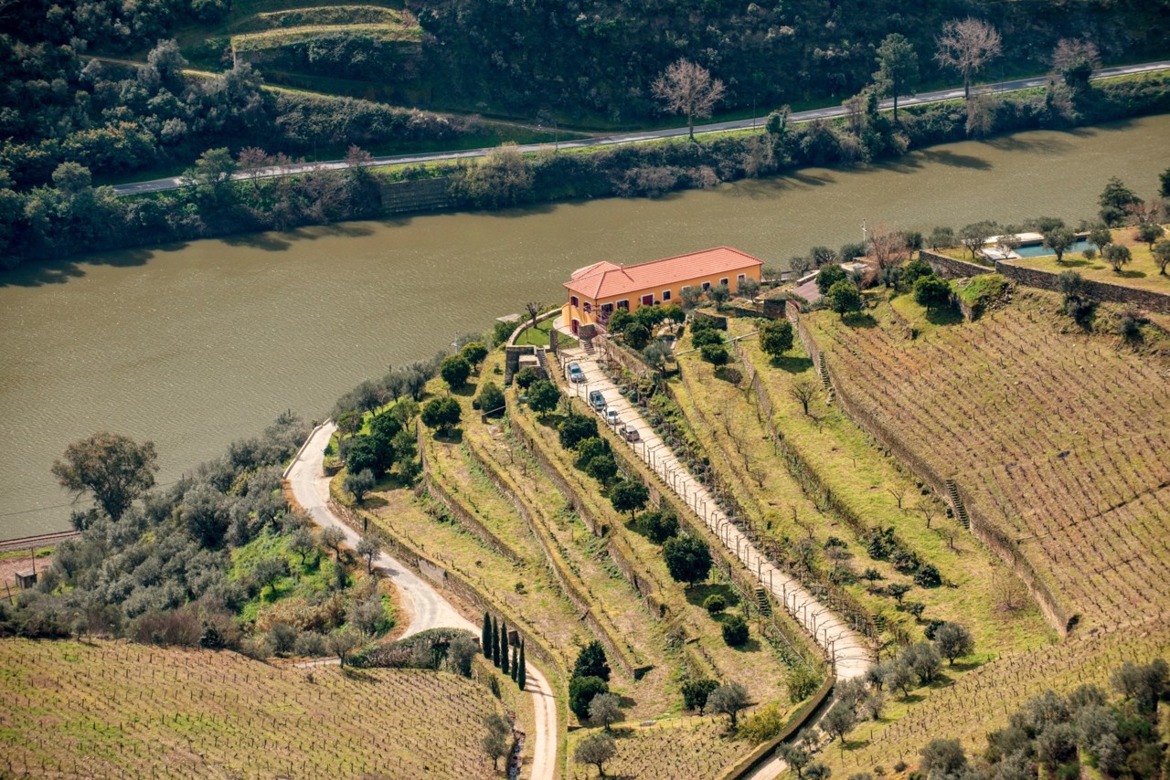 Dona Matilde Porto 2013