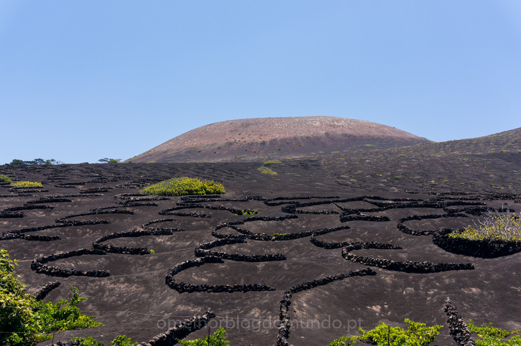 _DSC7519.jpg _DSC7519.jpg