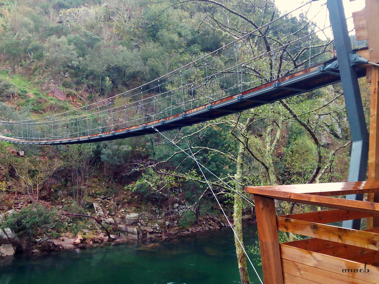 IMG_20160306_153023 cópia asin.jpg