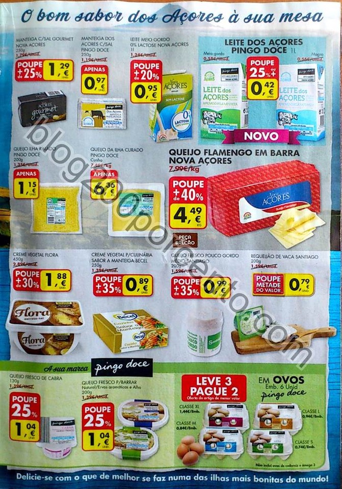 pingo doce 14 a 20 junho_13.jpg