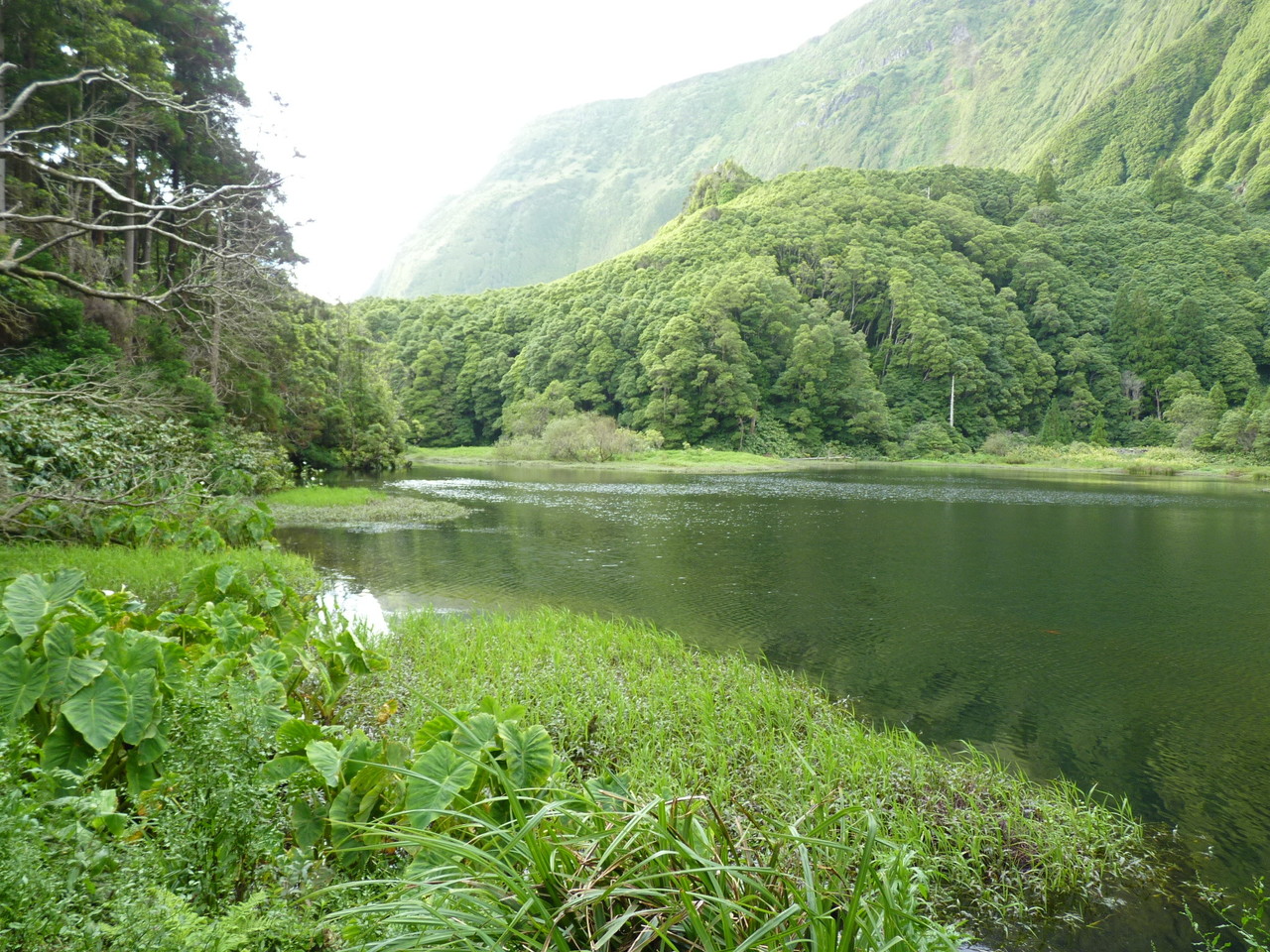 Poço da Ribeira do Ferreiro - Ilha das Flores - A
