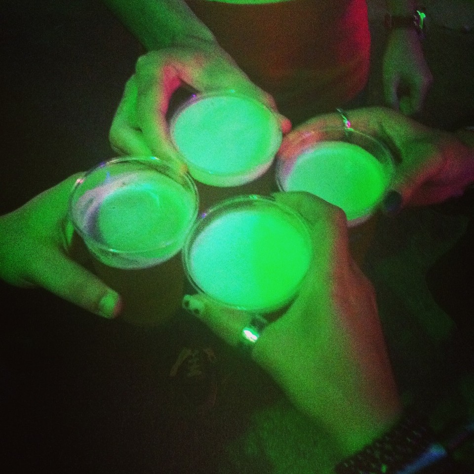 IMG_3303.JPG IMG_3303.JPG