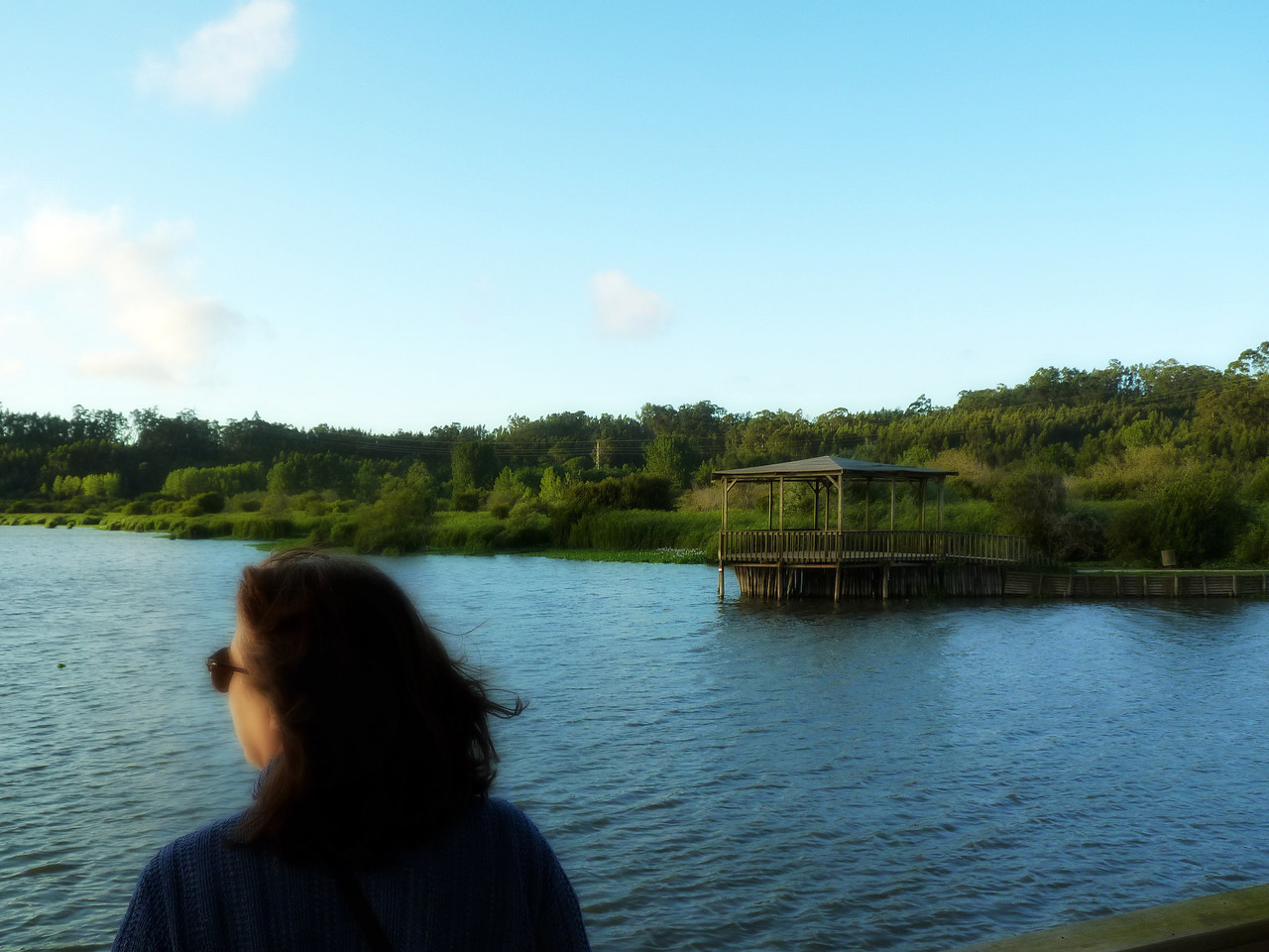 Pateira de Fermentelos (12).jpg