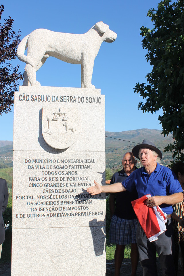 IMG_0551.JPG IMG_0551.JPG