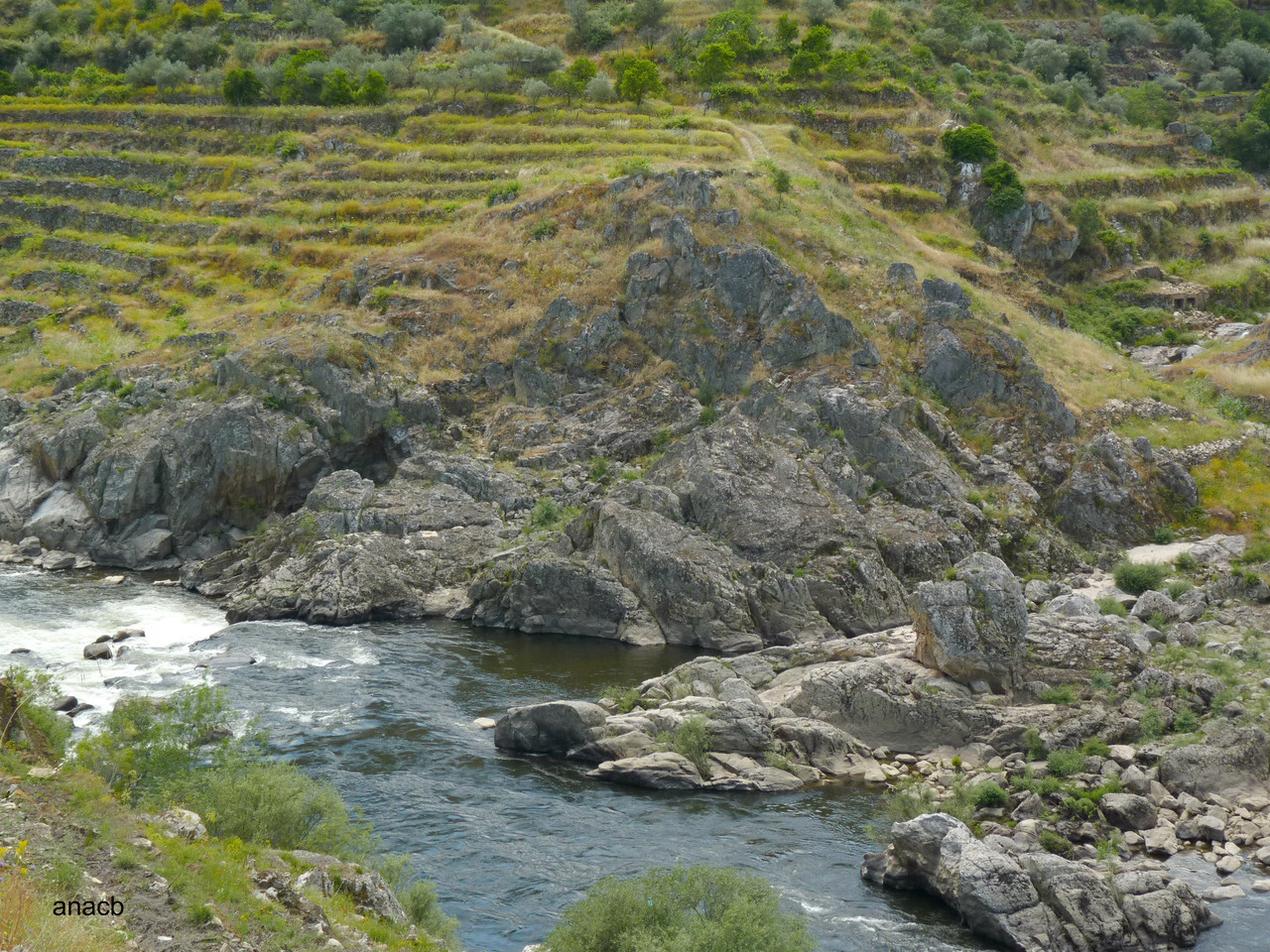 Passeio na antiga linha do Tua, Junho 2016