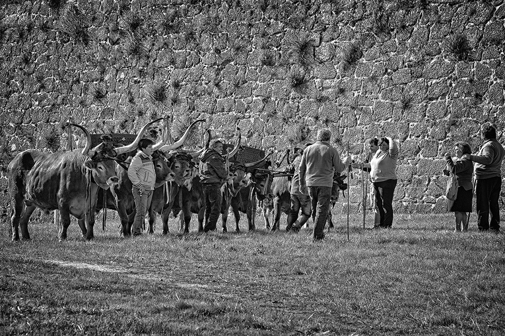 _JMD8393 - Cópia.JPG _JMD8393 - Cópia.JPG