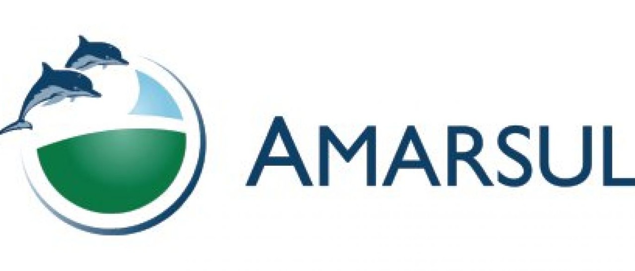Amarsul logo