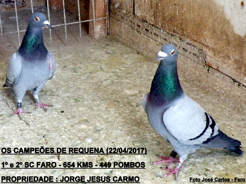 Requena 2017 011.JPG