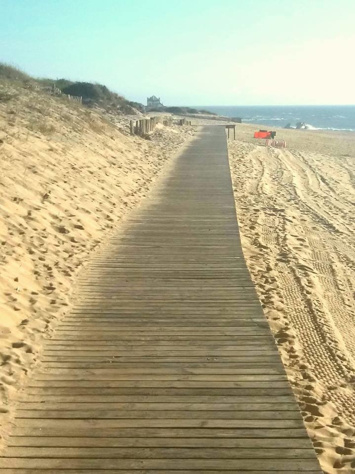 francemar.jpg francemar.jpg