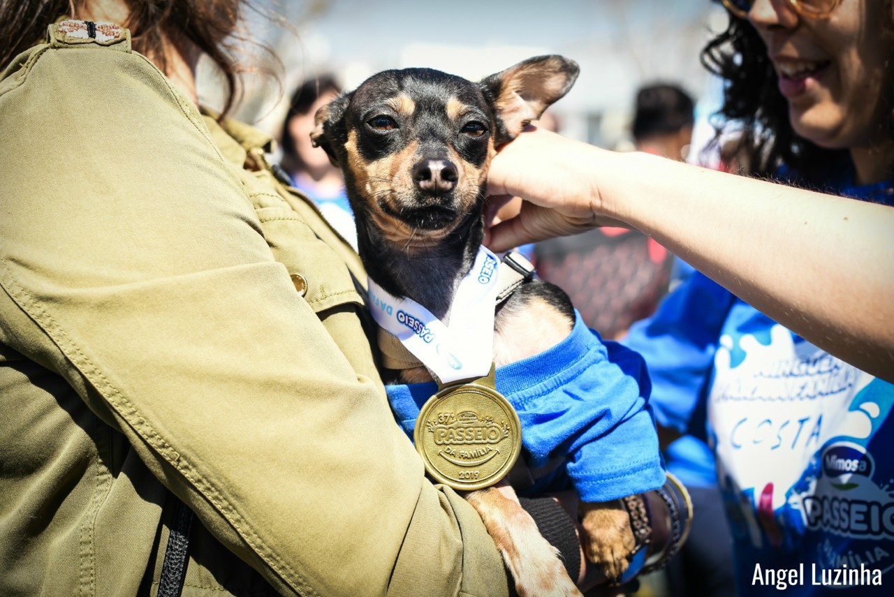 Angel Luzinha Fotografia-5371_BLOG.jpg Angel Luzinha Fotografia-5371_BLOG.jpg