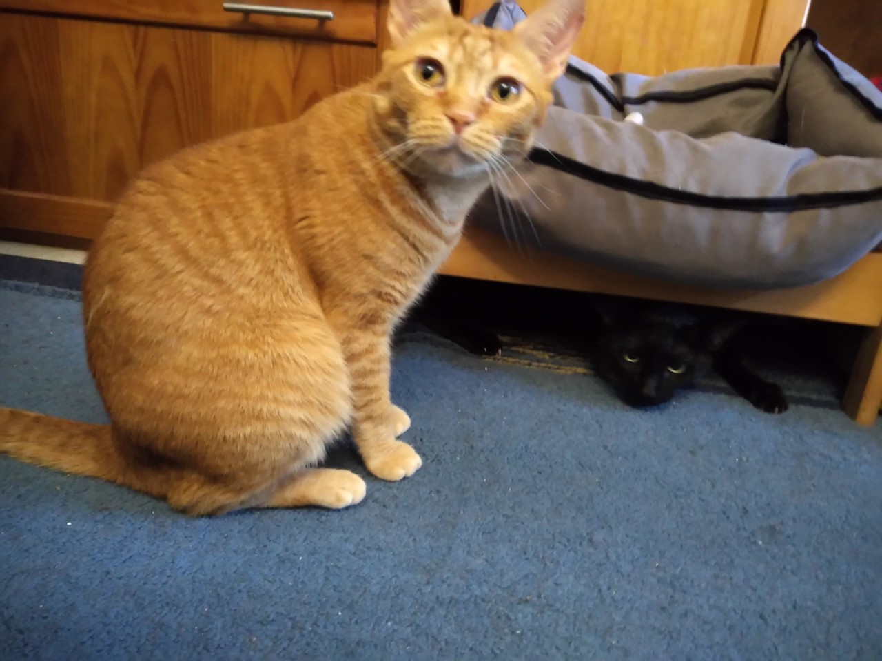 IMG_20190923_155329.jpg IMG_20190923_155329.jpg