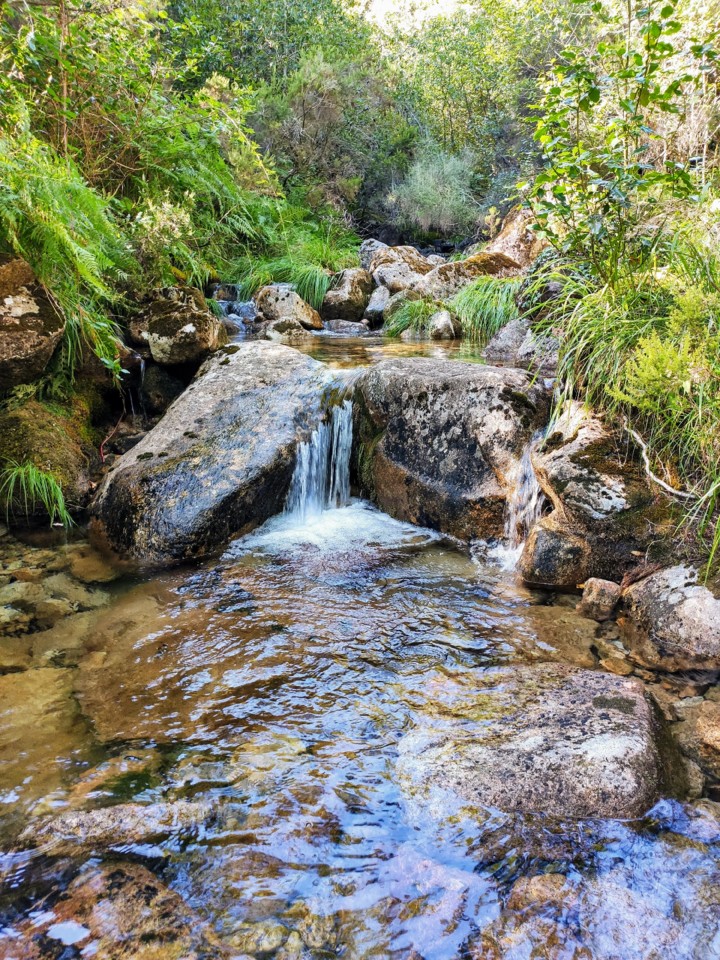 Ribeira no Trilho da Preguiça.jpg
