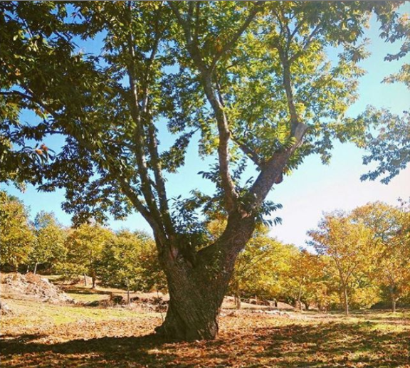 o espaço das pequenas coisas II.jpg.png