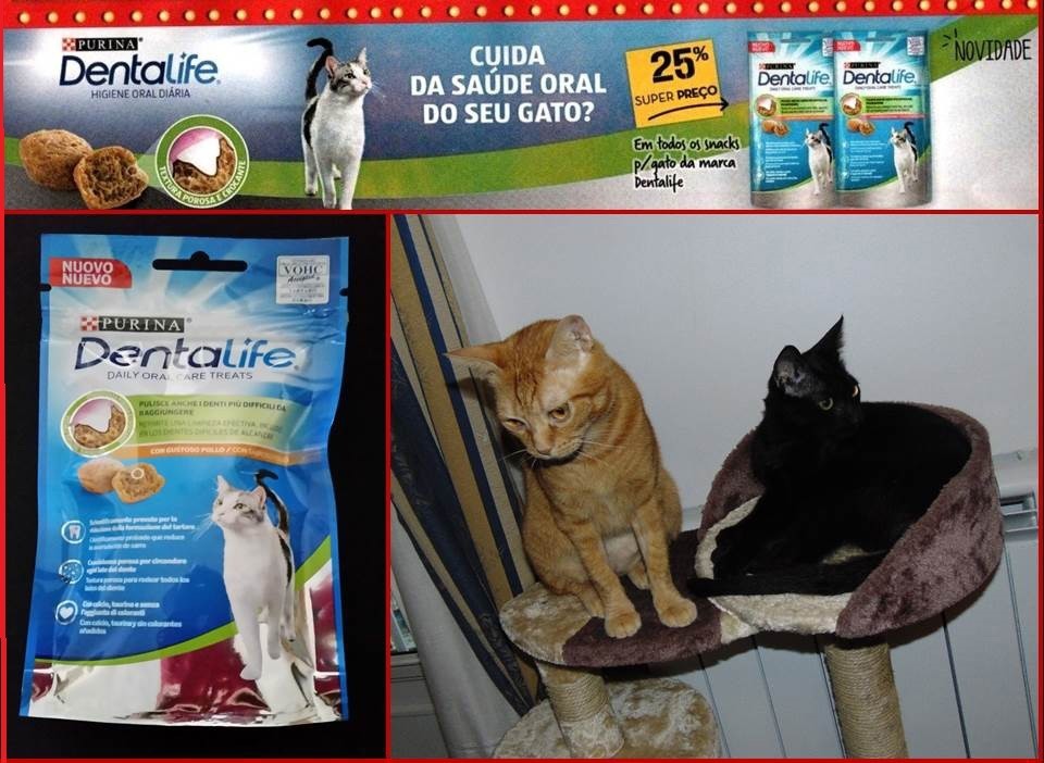 dentalivepurina.jpg